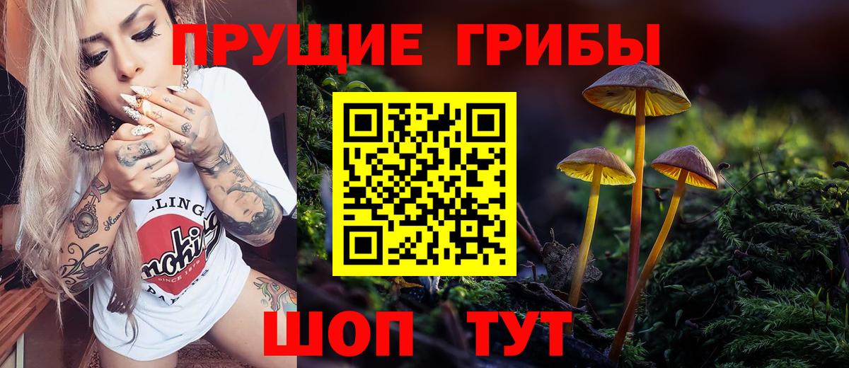 Псилоцибиновые грибы GOLDEN TEACHER Уссурийск