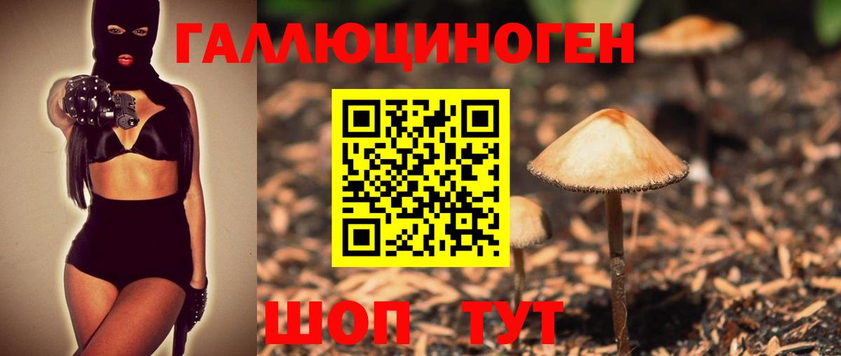 Псилоцибиновые грибы Psilocybe  Вход с VPN  Уссурийск 